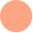 485ca102 ellipse 133.png